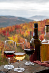 Tasting of Portuguese fortified port wine, produced in Douro Valley with colorful terraced vineyards on background in autumn, Portugal