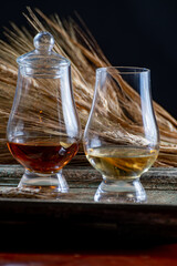 Glasses of scotch whisky served in bar in Edinburgh, Scotland, UK