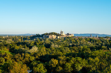 Panoramic view on old walls and palace of popes in ancient city Avignon, South of France