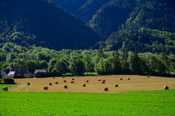 Green meadows and new hay in French Prealps, nature background