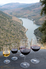 Tasting of Portuguese fortified port wine and dry red wine, produced in Douro Valley with Douro river and colorful terraced vineyards on background in autumn, Portugal