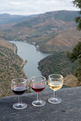 Tasting of Portuguese fortified port wine, produced in Douro Valley with Douro river and colorful terraced vineyards on background in autumn, Portugal