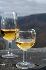 Tasting of Portuguese fortified port wine, produced in Douro Valley with Douro river and colorful terraced vineyards on background in autumn, Portugal