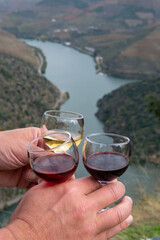 Tasting of Portuguese fortified port wine, produced in Douro Valley with Douro river and colorful terraced vineyards on background in autumn, Portugal