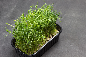 Vegan micro sprouts of green peas