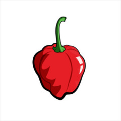 red scotch bonnet pepper cartoon vector isolated on a white background
