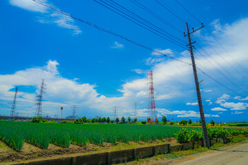 松戸市矢切の田園風景