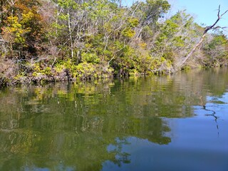 和歌山県紀の川市の観光ため池（大池遊園）の水面に映り込んだ青空と自然の木々の風景（コピースペースあり）