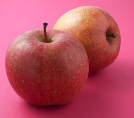りんご　　サンフジ