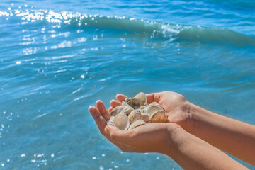 The hands of a young girl hold a pile of shells against the background of the blue sea on the beach close-up