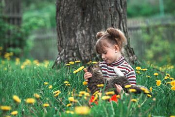 An emotional little girl playing with a cat in the green park.