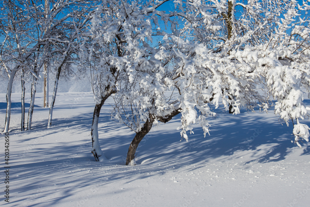 Wall mural Spectacular winter landscape in Quebec, Canada