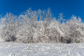 Spectacular winter landscape in Quebec, Canada