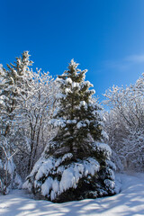 Spectacular winter landscape in Quebec, Canada