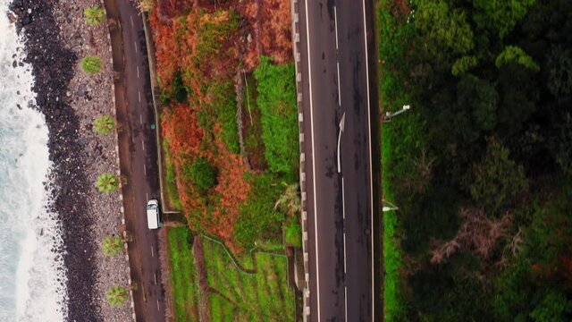 Aerial top down shot of white van vehicle driving on coastal road beside colorful trees and fields and stony beach and shore. Madeira Island, Portugal.