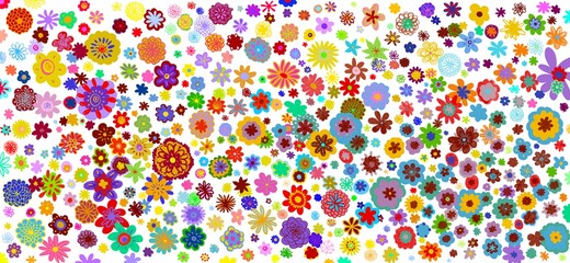 Sfondo bianco con i fiori di campo multicolore. Fantasia floreale primavera