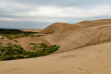 Sand dunes of Rubjerg Knude lighthouse area, Denmark