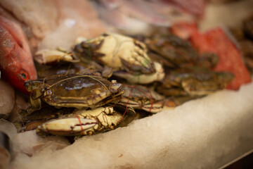 Cangrejos congelados, pescado en mercado, congelado, sabroso, fresco, salmon congelado