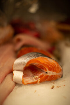 salmon congelado