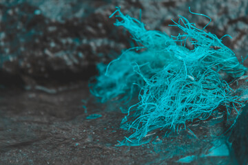 trash in aquarium