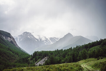 Dramatic mountain landscape with green forest and pointed peak among rainy low clouds. Atmospheric beautiful alpine view to sharp mountain pinnacle and snow mountain under cloudy sky in rainy weather.