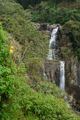 Fototapeta na wymiar Ramboda Falls, Hill Country of Sri Lanka