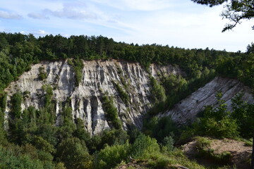 landscape with trees