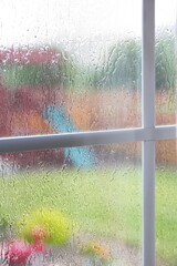 Rainy Pastel View Through the Backyard Window