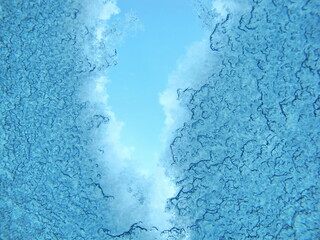 Looking Out From Beneath the Snow