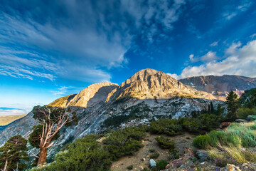 jagged mountain  peaks seen in Tioga Pass in Yosemite National Park, California taken during summer.