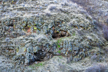 mossy rock wall
