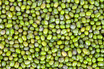 Mung bean background