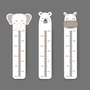 Kids height chart. Cute wall meter with funny animals. Vector template. Cartoon zoo. Design of children products in scandinavian style.
