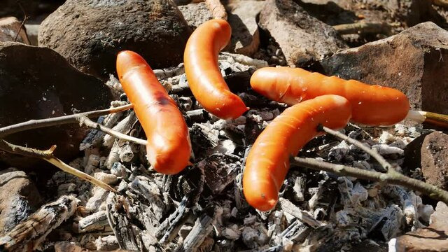 Sausages deliciously barbecued over open charcoal fire using carved wooden sticks. Sunny day covid-19 safe family hiking trip to the forest. CLOSE-UP on sausages.