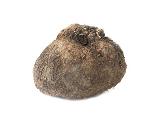 Dioscorea alata or yam on white background