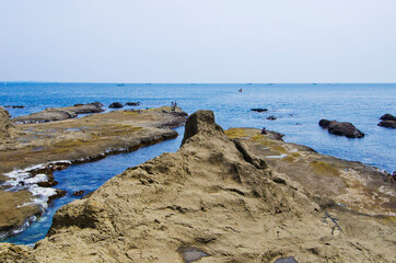Chigogafuchi Marine Plateau is located in Southern coast of Enoshima island.