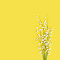 Delicate spring flowers blossom white lily of the valley on yellow background. Small floral bouquet