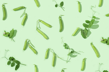 Fresh sweet green pea pods with leaves, pea sprouts. Pattern from peas and green shoots.