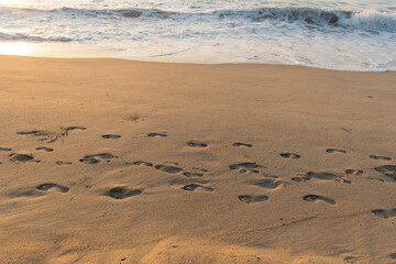 Huellas en la playa