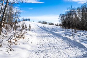 Winter trail in natural parkland