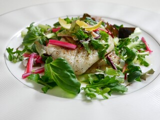 fish with salad