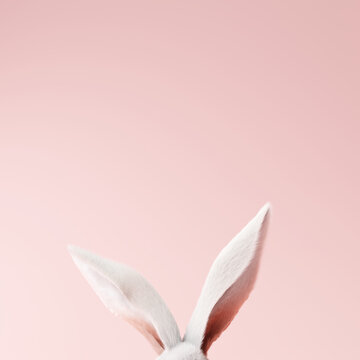 White rabbit ear on pastel pink background. Easter day. 3d rendering
