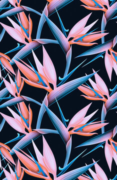 Fototapeta Spring time contemporary bird of the paradise flowers seamless pattern