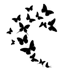 Flock of silhouette black butterflies on white background