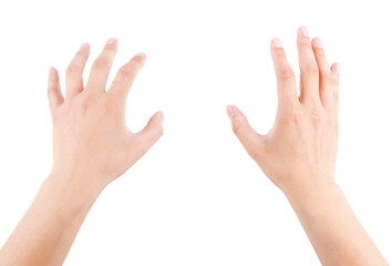 Hands on a white background