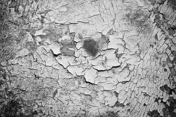 Black and White Peeling Paint or Old Grunge Crack Background of Metal Sheet