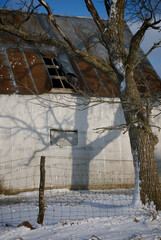 Winter Shadow 02. A dilapidated  corrugated metal farm buidling with an interesting shadow cast by the evening winter sun shining on a large snow covered tree. Near Loeffler, Missouri USA 2008.