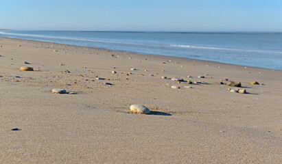 pebbles in the sand of the beach with sea background in Altantic ocean in france