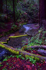 mystic creek