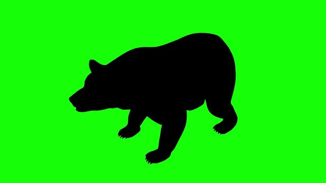 Silhouette of a bear howling, on green screen, perspective view. Animal silhouettes seamless loop 3D animation.